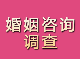 远安婚姻咨询调查