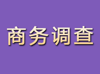 远安商务调查